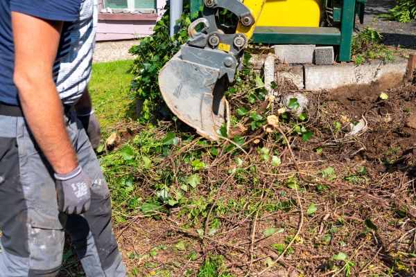 Hedge Removal Service in Pasadena