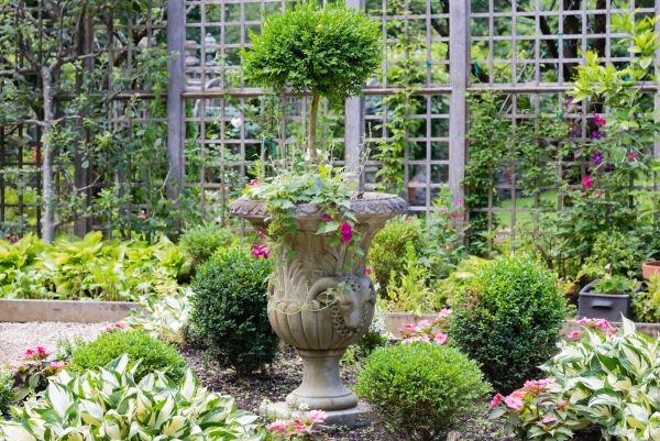 Topiary Pruning in Pasadena