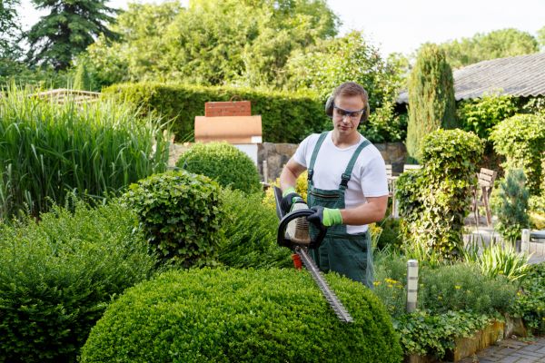 Shrubs Trimming in Pasadena
