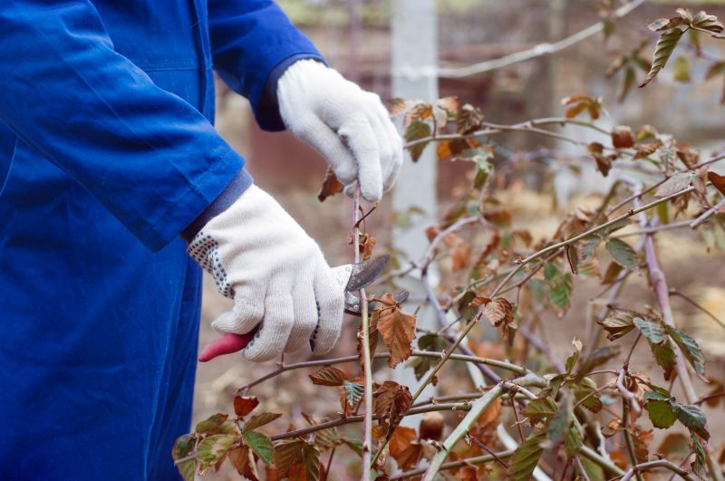 Bush Pruning