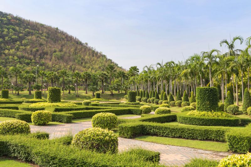 Trimmed Shrubs in a Pasadena Landscape