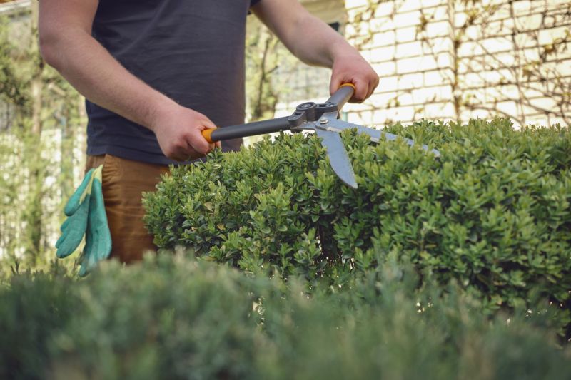 Tools for Shrub Maintenance