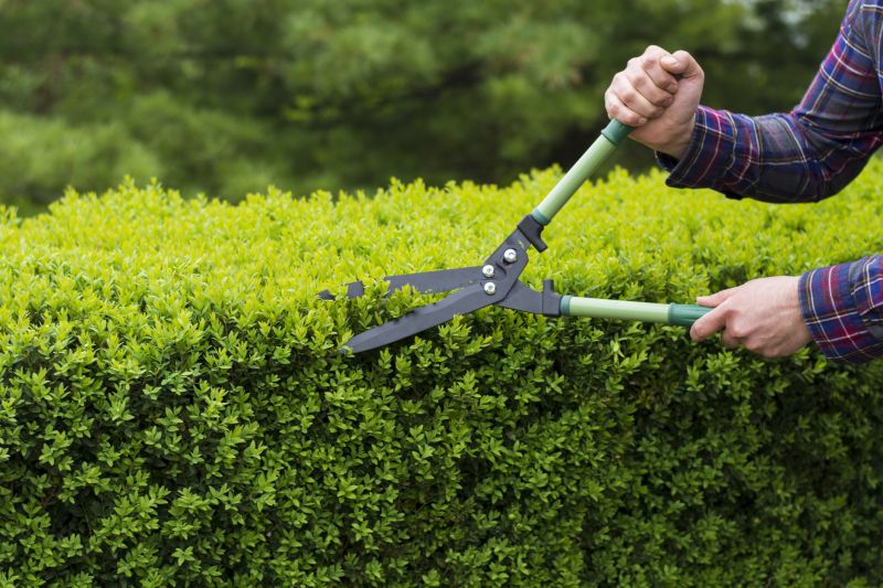 Tools for Trimming Shrubs
